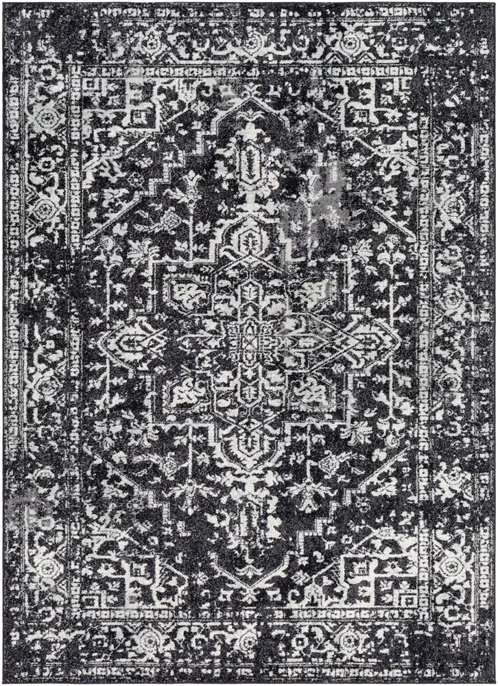 Alchir ALR-1087 Black Transitional Traditional Rug