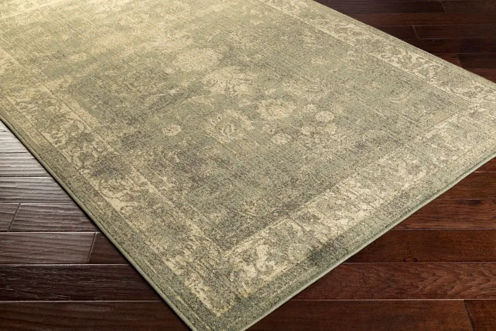 Hathaway HAT-3022 green Rug