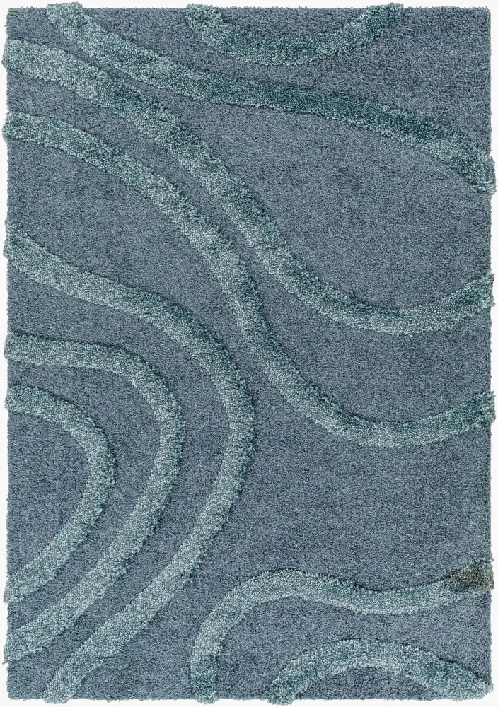 Hudson Shag HDS-2304 blue Rug