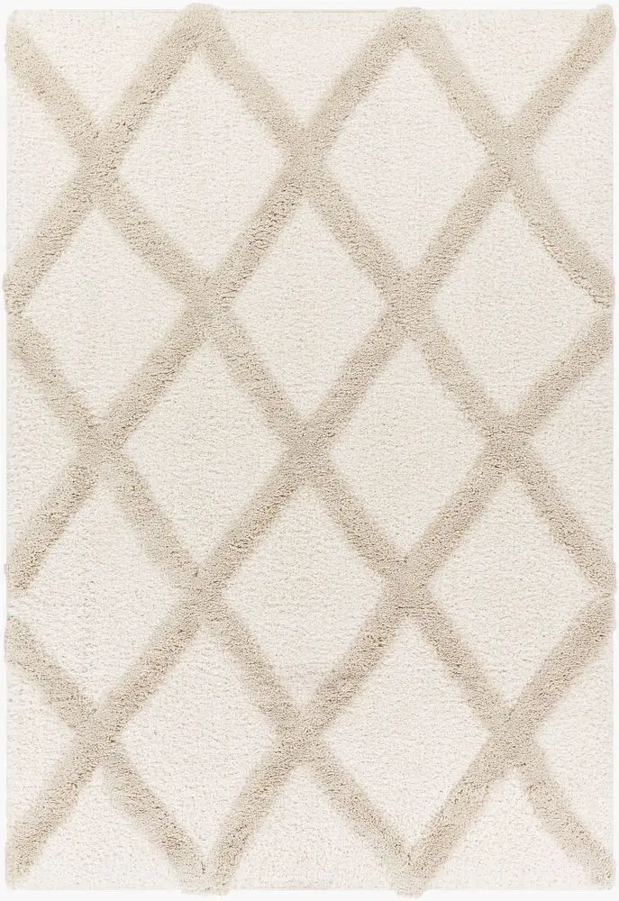 Hudson Shag HDS-2306 beige Rug