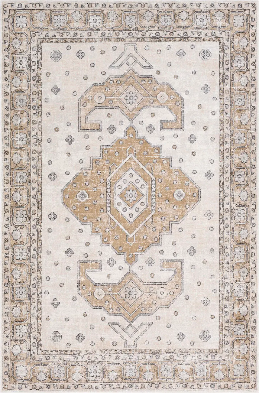 Alchird ALD-2321 Brown Bordered Synthetic Rug