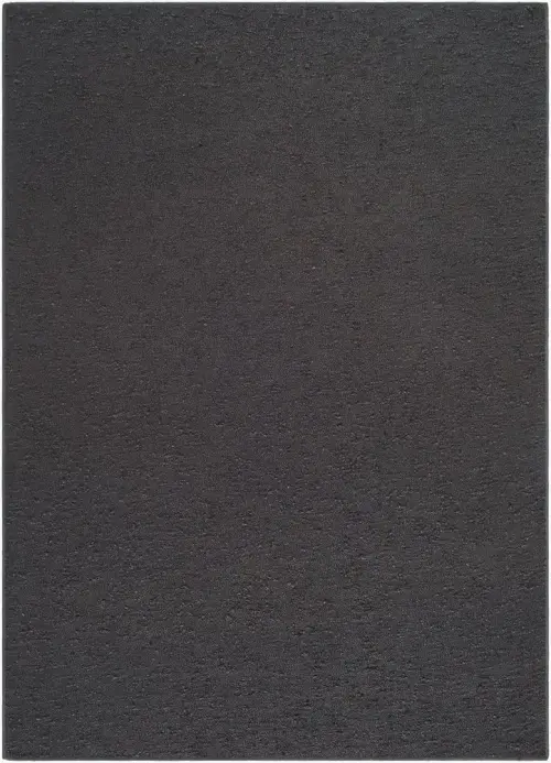 Surya Lush LSH-2306 black Rug