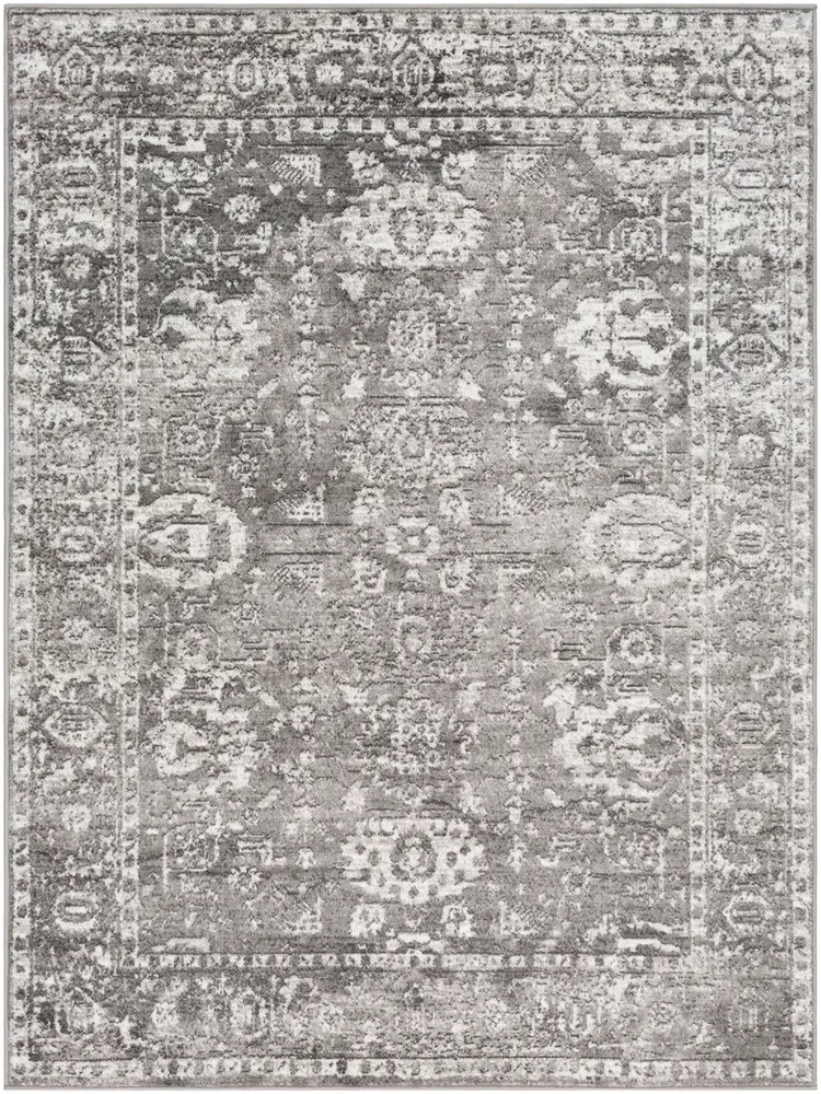 Monte Carlo MNC-2311 Light Gray Transitional Bordered Rug