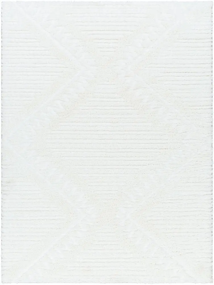 Nomadic NMC-2304 beige Rug