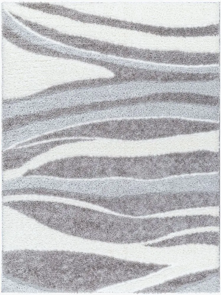 Nomadic NMC-2312 gray Rug