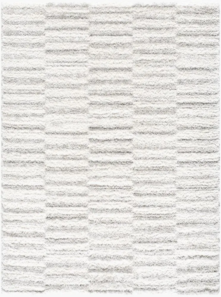 Nomadic NMC-2321 beige Rug
