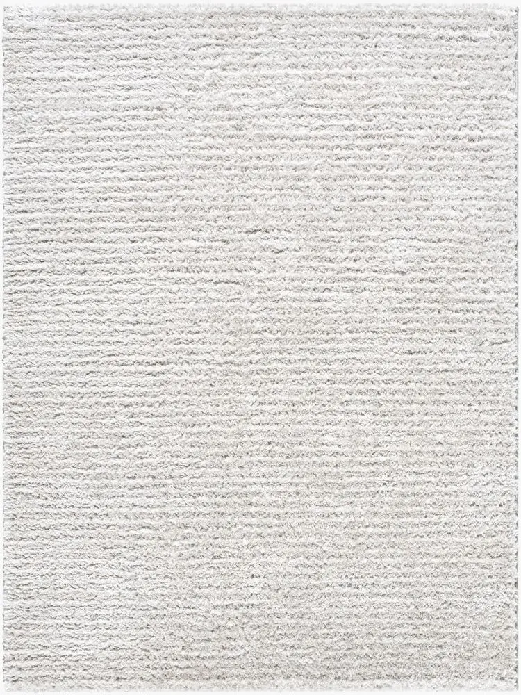 Nomadic NMC-2329 gray Rug