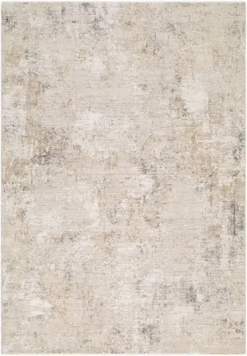 Surya Nathan NTH-2303 taupe Rug