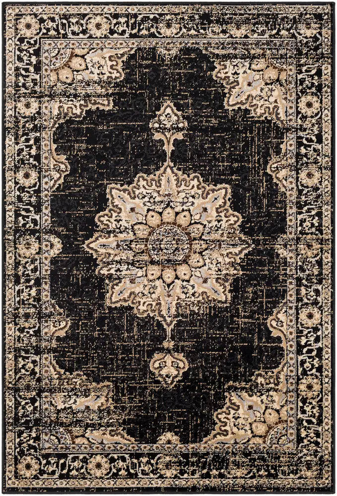 Allbush ALLB-1089 Black Transitional Synthetic Rug