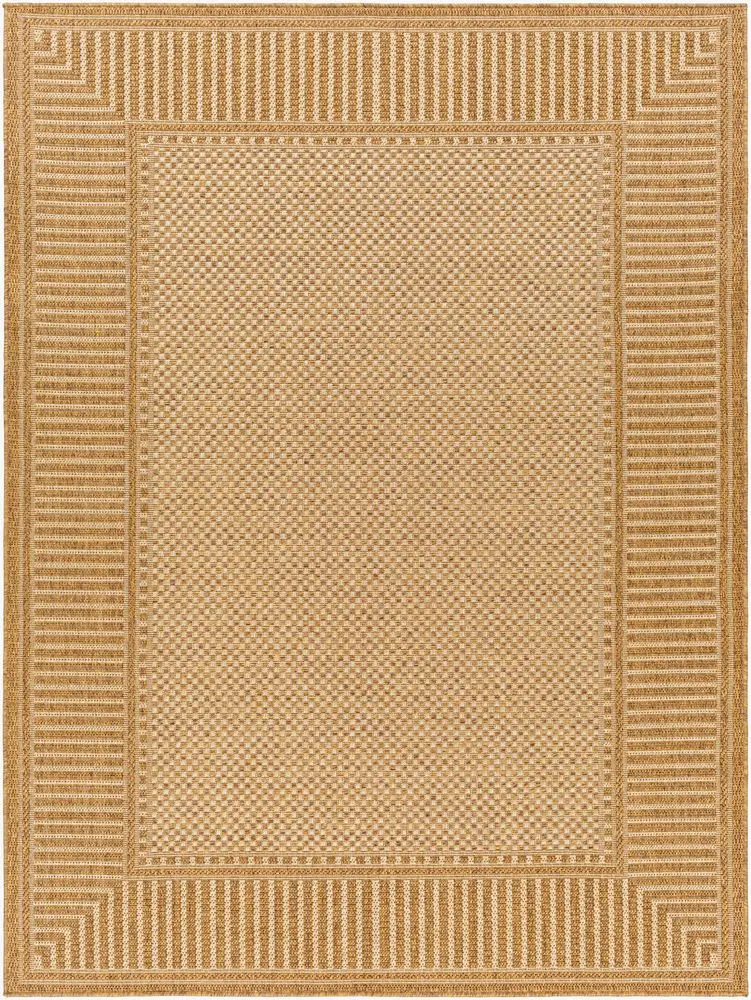 Pismo Beach PMB-2303 tan Rug
