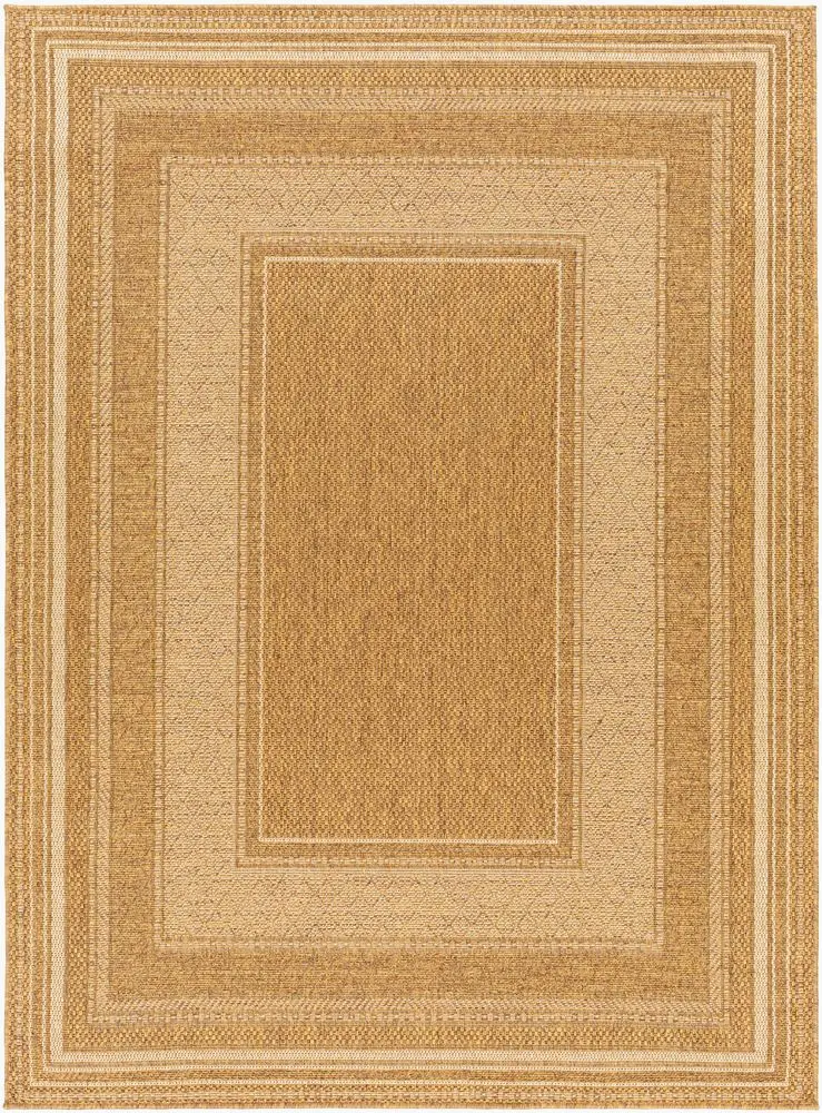 Pismo Beach PMB-2307 tan Rug