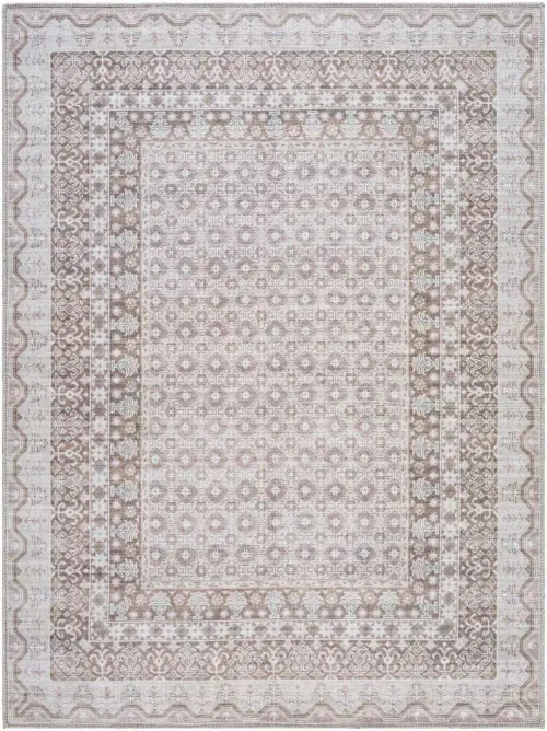 Surya Rainier PNWRN-2312 gray Rug
