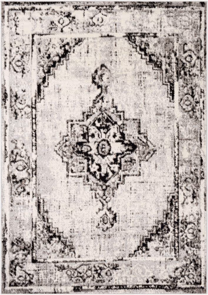 Surya Pisa PSS-2314 gray Rug Product Image