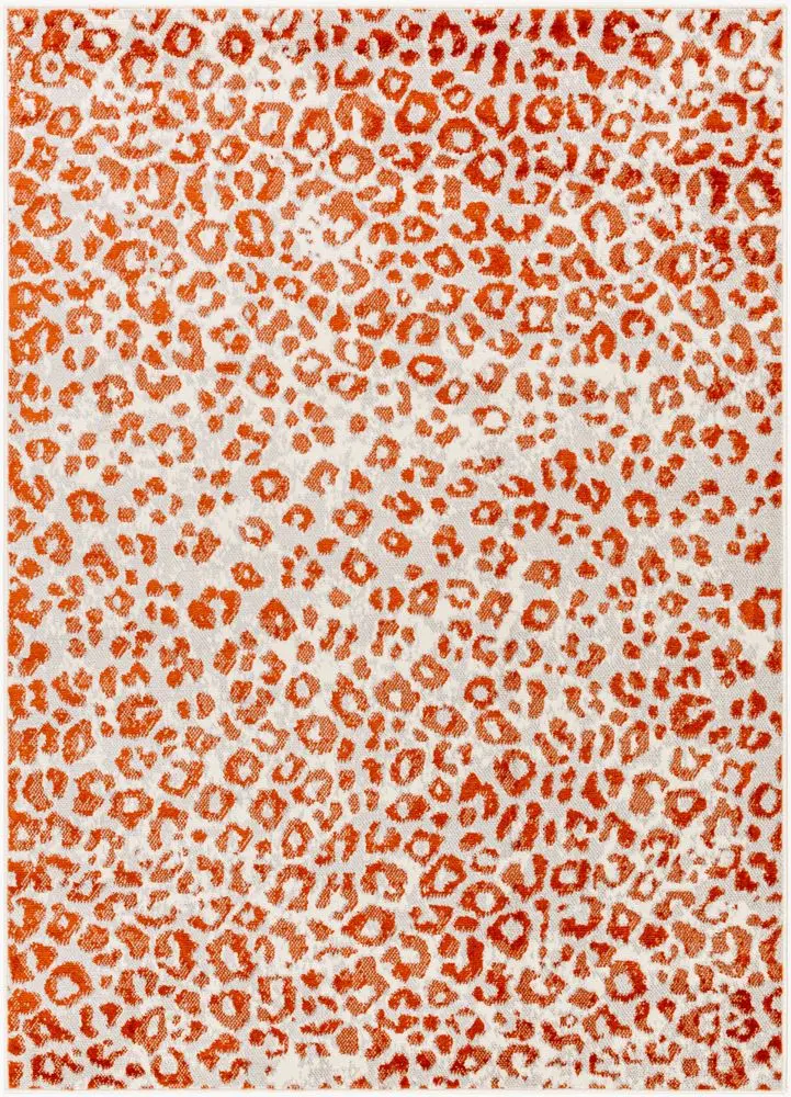 Pisa PSS-2381 gray Rug