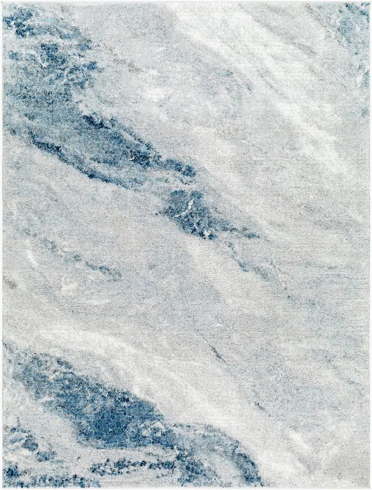 Portofino PTF-2322 gray Rug