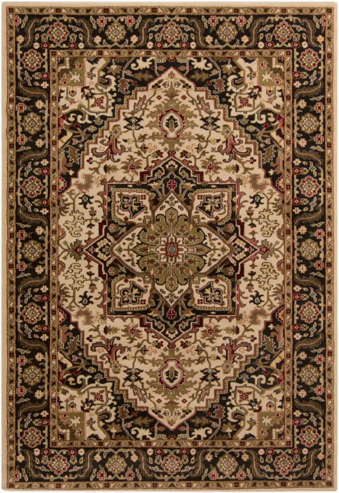 Riley RLY-5038 Dark Brown Traditional Synthetic Rug
