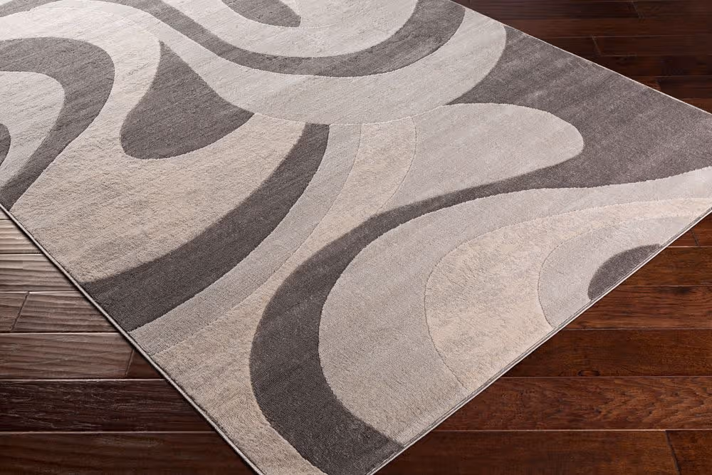 Surya Remy RMY-2315 gray Rug Product Image