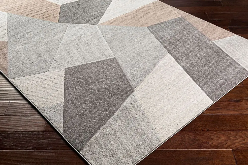 Remy RMY-2319 gray Rug