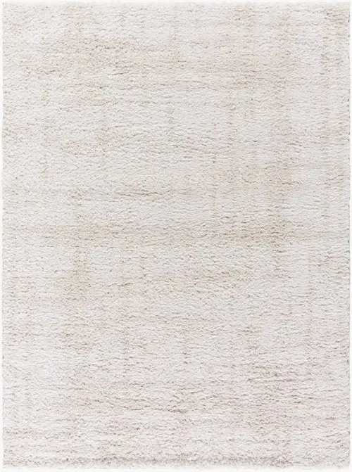 Surya Sacramento Shag SCS-2300 white Rug