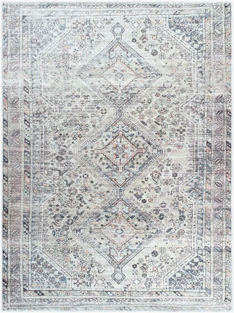 Eleni VVEL-2301 beige Rug