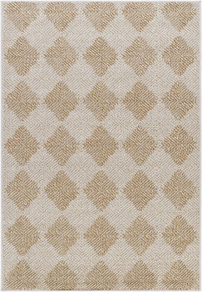 Kaya VVKA-2300 beige Rug