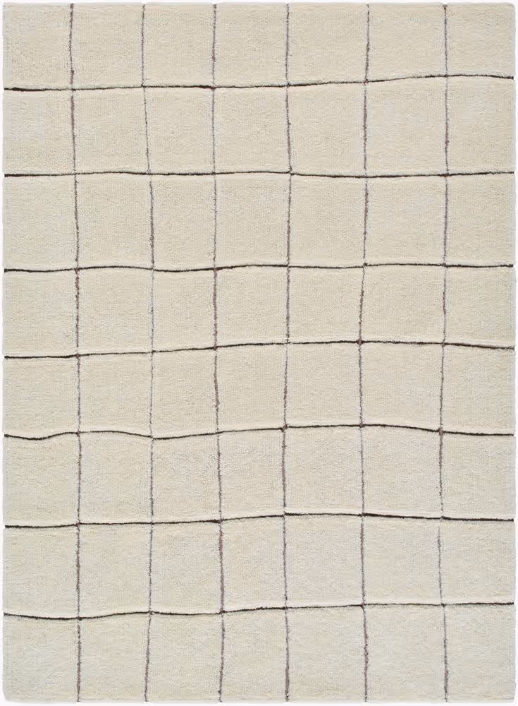 Surya Wooly WOL-2301 beige Rug Product Image