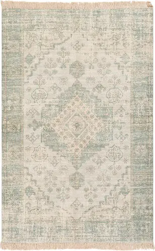 Zainab ZAI-2311 Gray Cotton Traditional Rug Product Image