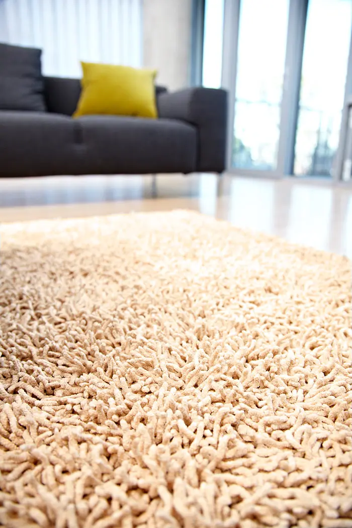 Anji Mountain Beige  Rug 2