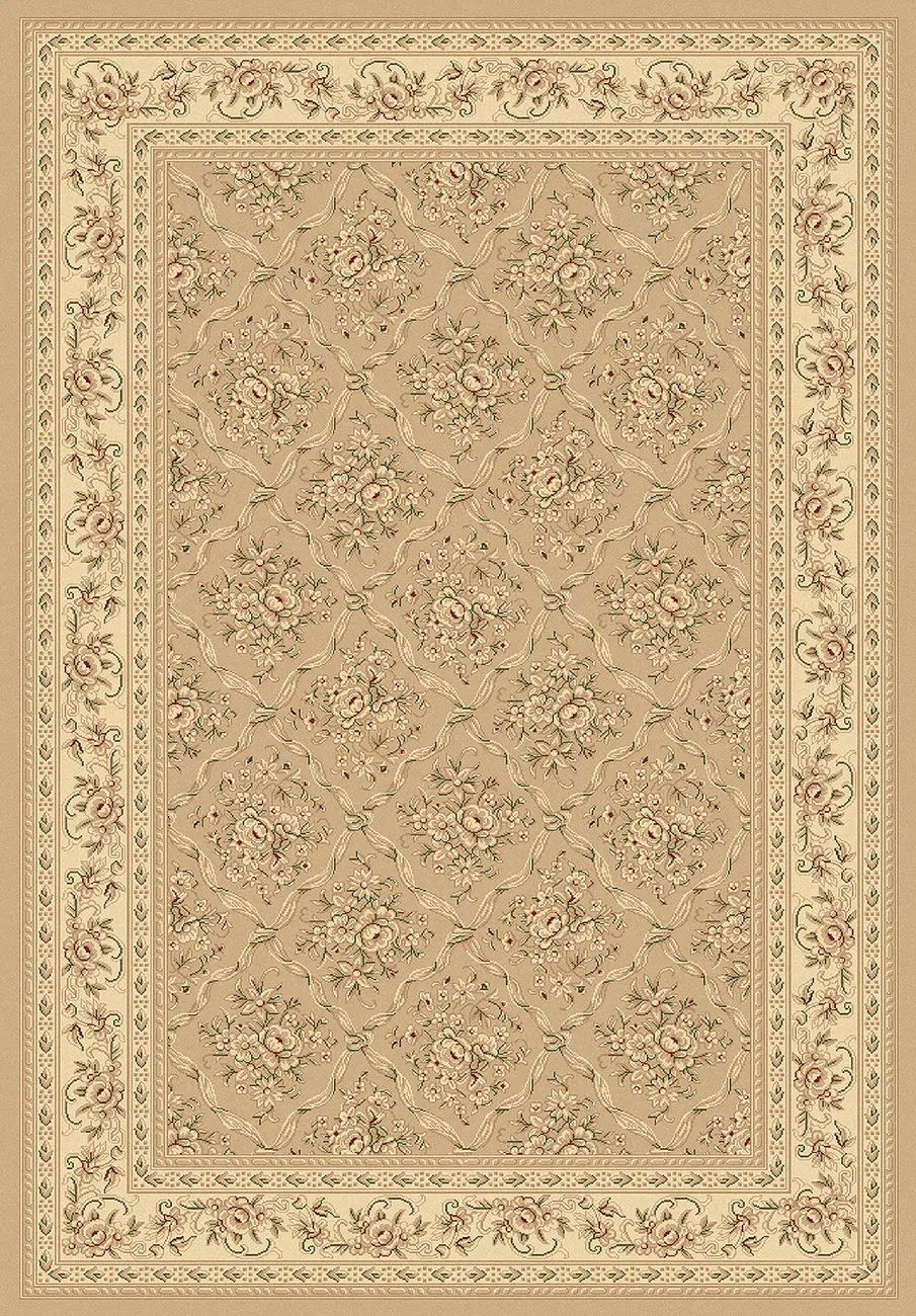 Dynamic Rugs Brown Rug