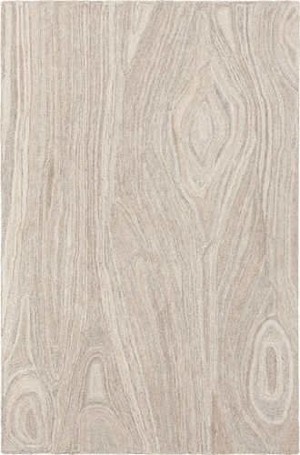 Chandra Antara ANY-44102 Beige Abstract Rug Product Image