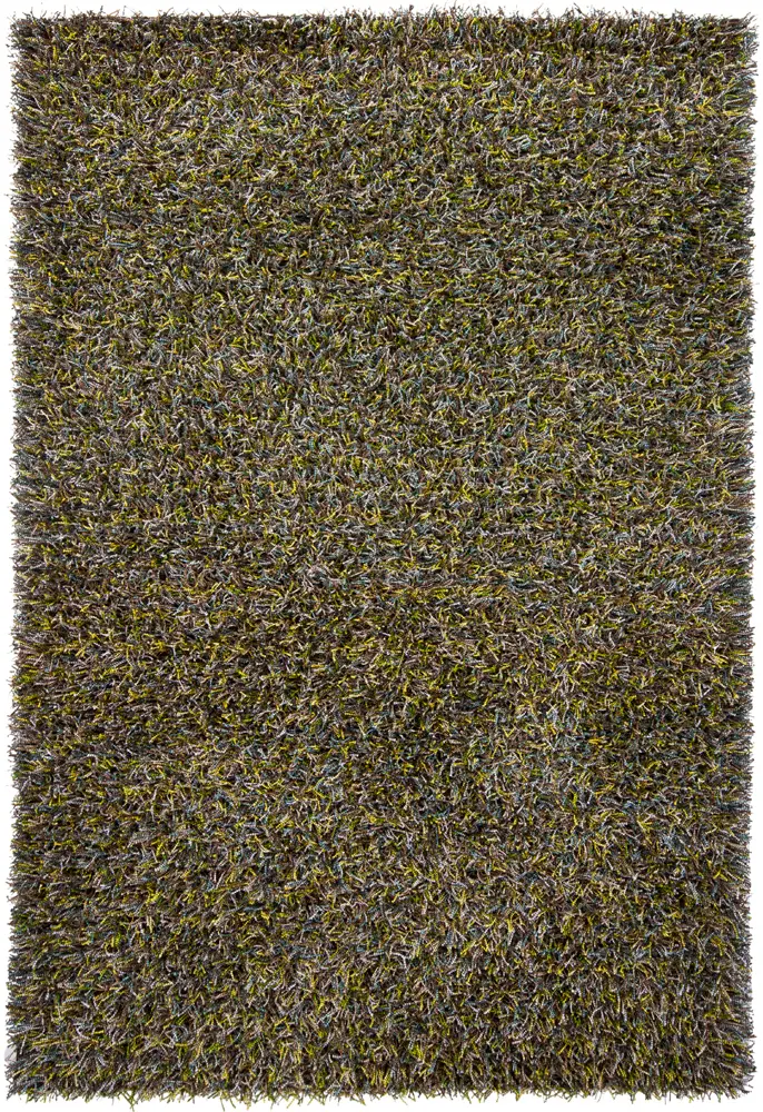 Chandra Bense AST-14300 Green Abstract Rug