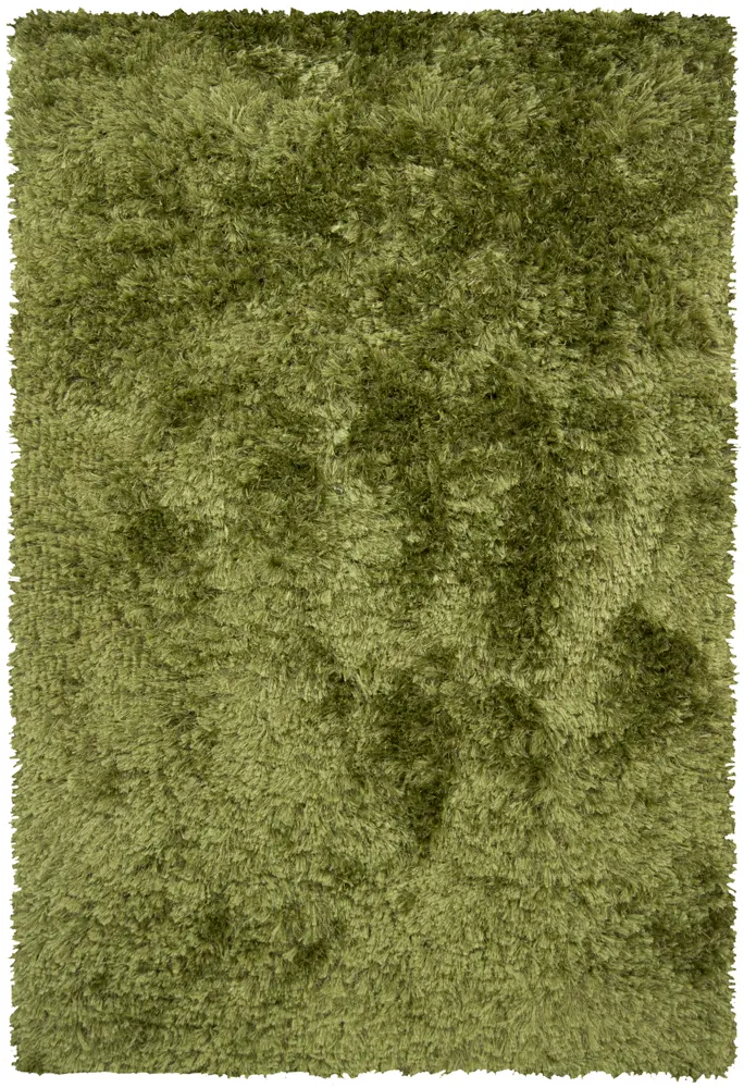 Chandra Catalina CEL-4705 Green Solid Color Rug