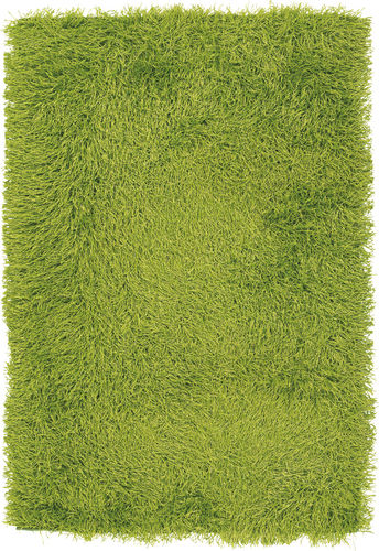 Chandra Duke DUK-20900 Lt. Green Shag Solid Color Rug Product Image