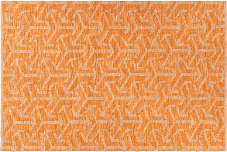 Enaya ENA-51803 Orange Rug Product Image
