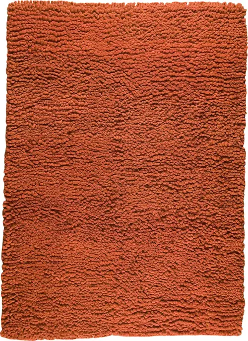 Modern Loom Red Shag Rug