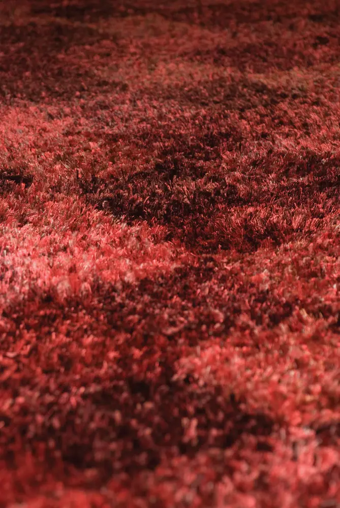 Modern Loom Red  Rug 4