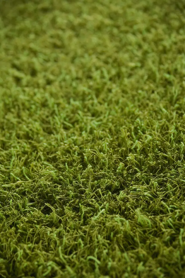 Modern Loom Brown Silk Rug 2