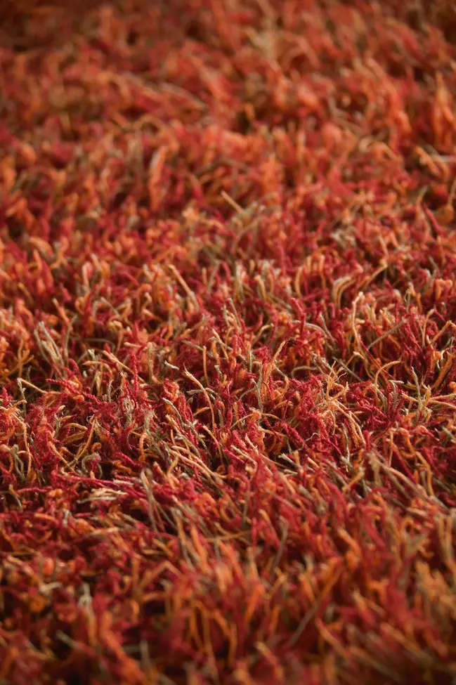 Modern Loom Red  Rug 5