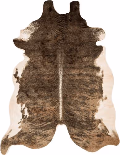 Loloi Grand Canyon Brown Rug Product Image