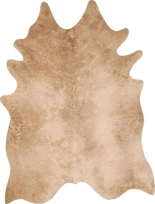 Loloi Grand Canyon Beige Rug
