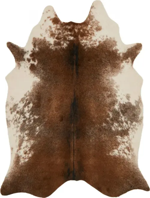 Loloi Grand Canyon Brown Rug