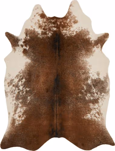 Loloi Grand Canyon Brown Rug Product Image