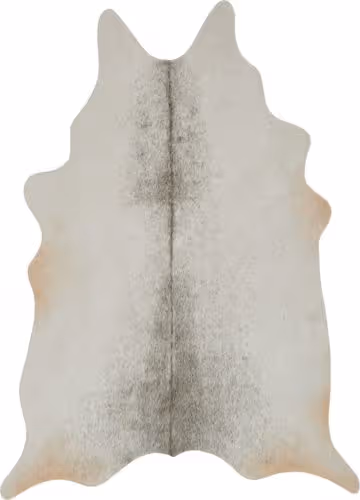 Loloi Grand Canyon Gray Rug Product Image