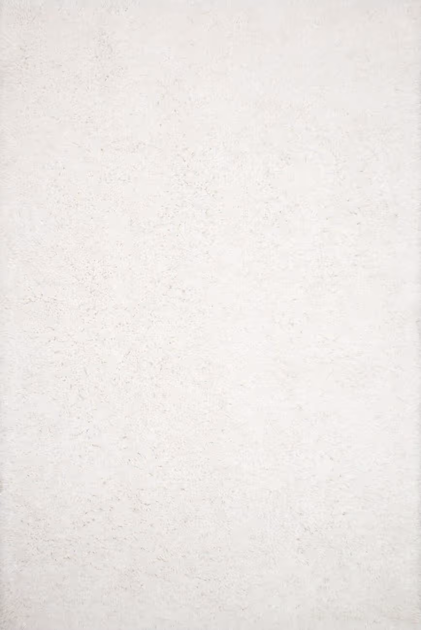 Loloi Mila Shag Beige Rug