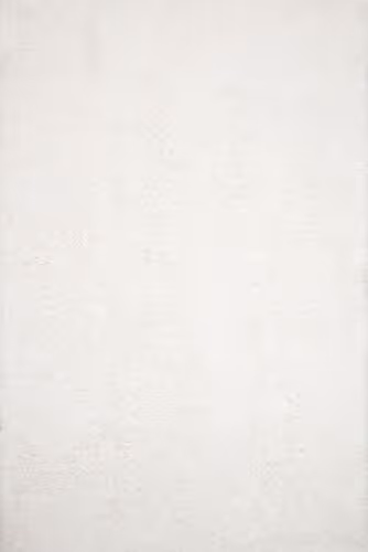 Loloi Mila Shag Beige Rug Product Image