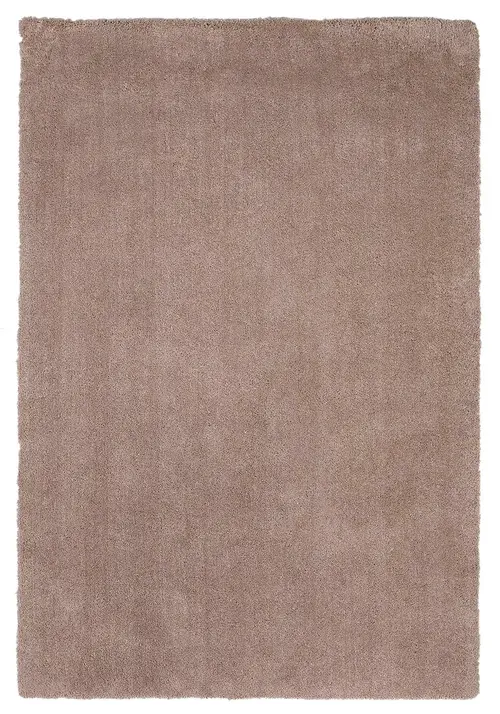 Bliss 1551 Beige Shag Area Rug