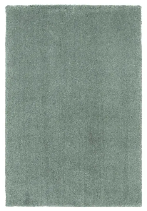 Bliss 1565 Slate Shag Area Rug