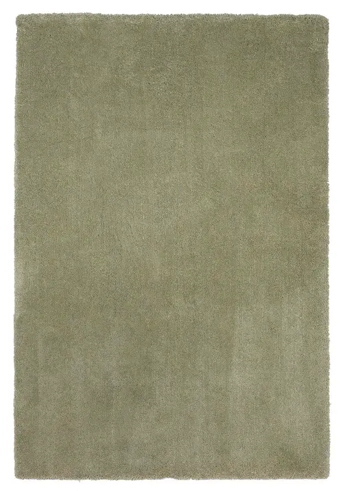 Bliss 1568 Sage Shag Area Rug