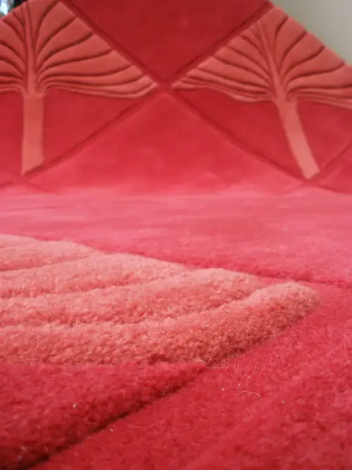 Leaf Vein Watermelon Rug