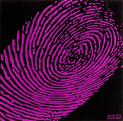 Identity Fuchsia Wool Rug